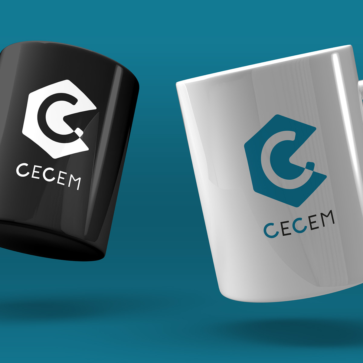 Logo Cecem secondaire