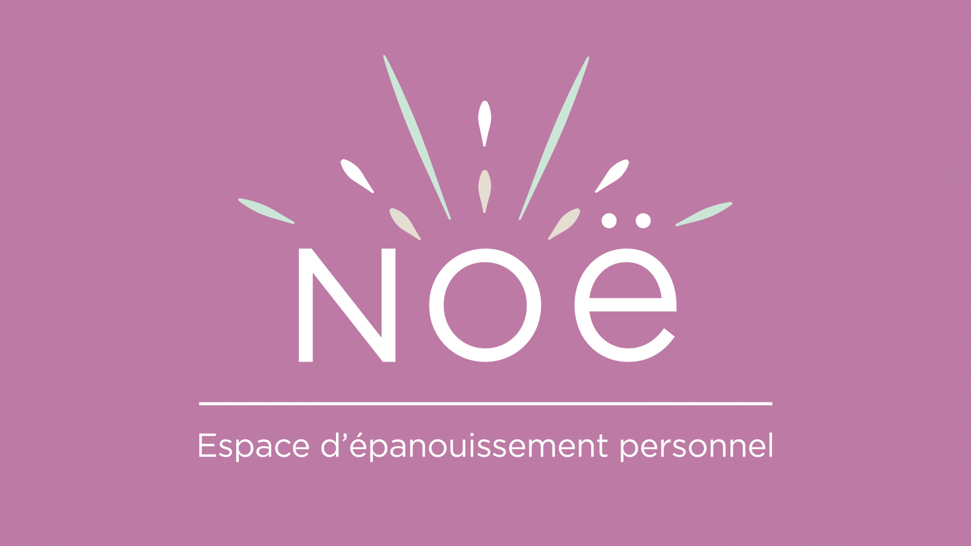 Logo NOE