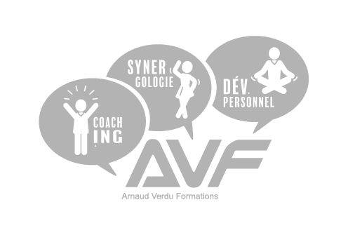 Logo AVF FORMATIONS - GRIS
