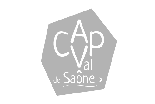 Logo CAP-VAL-DE-SAONE - GRIS