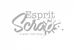 Logo ESPRIT-SCRAP - GRIS