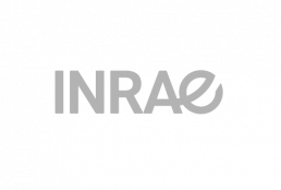 Logo INRAE - GRIS