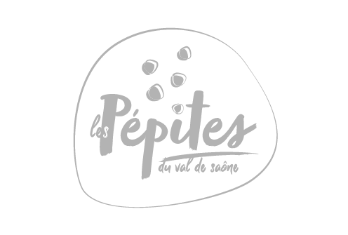 Logo LES-PEPITES-VDS - GRIS