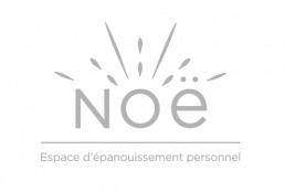 Logo NOE - GRIS