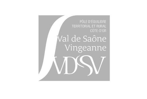 Logo PETR-VDSV - GRIS