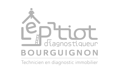 Logo LE-PTIOT-DIAGNOSTIQUEUR-BOURGUIGNON - GRIS
