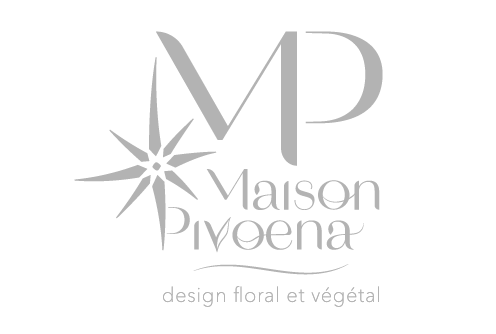 Logo MAISON PIVOENA - GRIS