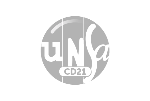Logo UNSA-CD21 - GRIS