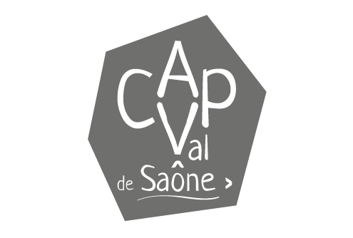 crearel-logo-cap-val-de-saone-GRIS