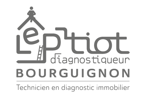 crearel-logo-le-ptiot-diagnostiqueur-bourguignon-GRIS