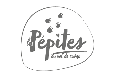 crearel-logo-pepites-vds-GRIS