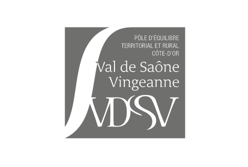 crearel-logo-petr-vdsv-GRIS